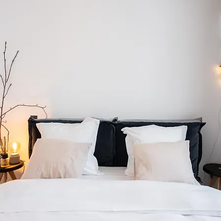 Apartament Zodiac Center *